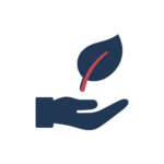 Conseils CVC durables